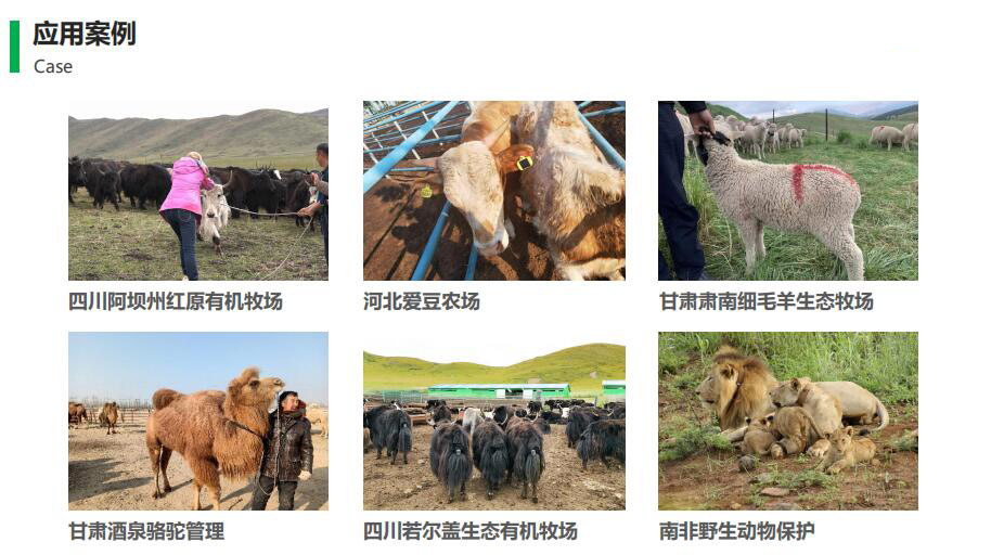 智慧牧場應用案例
